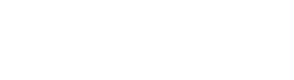 BizPilot